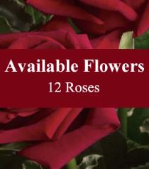 Yellow Roses - Florist Choice 12 Roses - BF3542 Photo of Florist Choice 12 Roses - BF3542