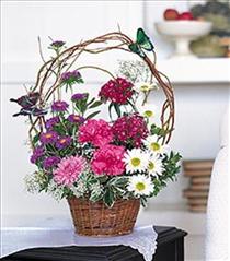 Wicker Basket Flowers - Butterflies are Free - TF11-1 Photo of Butterflies are Free - TF11-1