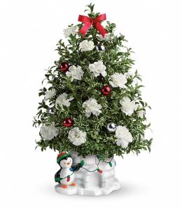 Christmas Flowers Budget - Send a Hug Precious Penguin by Teleflora - T14X500 Photo of Send a Hug Precious Penguin by Teleflora - T14X500