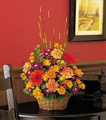 Fall Splendor Fall Flowers