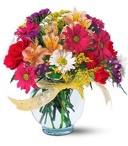 Sympathy Flower Delivery - Joyful and Thrilling Flowers Vased - TF121-2 Photo of Joyful and Thrilling Flowers Vased - TF121-2