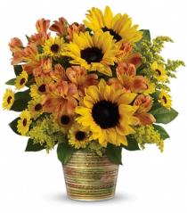 Fall Flowers and Plants - Teleflora's Grand Sunshine Bouquet - T14G100 Photo of Teleflora's Grand Sunshine Bouquet - T14G100