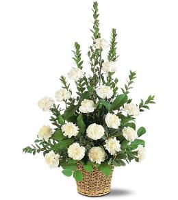 Traditional Funeral Tributes - Simplicity Basket - TF186-3 Photo of Simplicity Basket - TF186-3