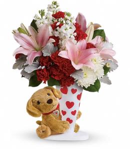 Valentines Day Flowers - Send a Hug You're Fur Me with Teddy Bear - T15V405 Photo of Send a Hug You're Fur Me with Teddy Bear - T15V405
