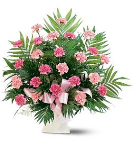 Traditional Funeral Tributes - Classic Carnation Arrangement Color Choice - TF198-3 Photo of Classic Carnation Arrangement Color Choice - TF198-3
