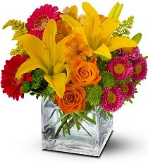 Summer Flowers - Color Splash Time Flower Bouquet - TFWEB192 Photo of Color Splash Time Flower Bouquet - TFWEB192