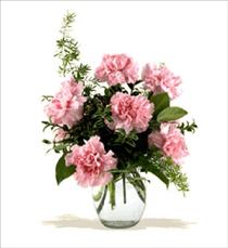 Deliver Flowers - Carnations Vased with Greens - BF-F2 Photo of Carnations Vased with Greens - BF-F2