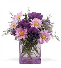 Summer Flowers - Lavender Flowers Soothing Colors for Everyone - 05N300 Photo of Lavender Flowers Soothing Colors for Everyone - 05N300