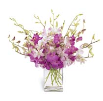 Summer Flowers - Exquisite Orchid Bouquet in Vase - B18-4020 Photo of Exquisite Orchid Bouquet in Vase - B18-4020