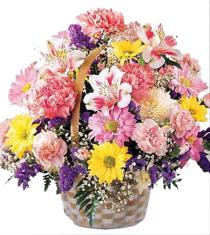FTD Mother's Day Flowers - Basket of Cheer Bouquet - C14-3072 Photo of Basket of Cheer Bouquet - C14-3072