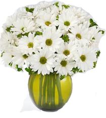 Send Spring Flowers Online - Complete Happiness Bouquet FTD - HAP Photo of Complete Happiness Bouquet FTD - HAP