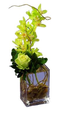 Order Birthday Flowers Online - Modern Orchid Design Comfort Bouquet - S34-4225 Photo of Modern Orchid Design Comfort Bouquet - S34-4225