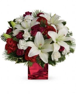 Christmas Flowers Budget - Caroling in the Snow by Teleflora - TWRO6-1 Photo of Caroling in the Snow by Teleflora - TWRO6-1