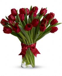 Send Tulips Online - Radiantly Red Tulips Vased - T11Z104 Photo of Radiantly Red Tulips Vased - T11Z104