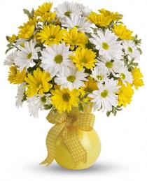 Any Time Same Day - Teleflora's Upsy Daisy in Vase - TEV13-4 Photo of Teleflora's Upsy Daisy in Vase - TEV13-4