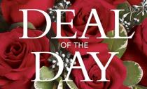 Order Birthday Flowers Online - Deal of the Day - TFDOD2013 Photo of Deal of the Day - TFDOD2013
