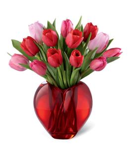 Valentines Day Flowers - Season of Love Tulip Bouquet by FTD - 15-V8 Photo of Season of Love Tulip Bouquet by FTD - 15-V8