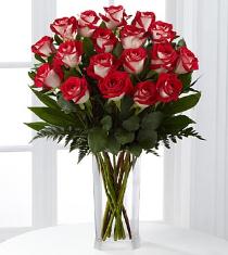 Pink Roses - Passion for Fun Bi Collor Roses Vased - FI77 Photo of Passion for Fun Bi Collor Roses Vased - FI77