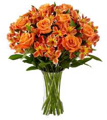 Fall Flowers and Plants - Orange - FD87 Photo of Orange - FD87