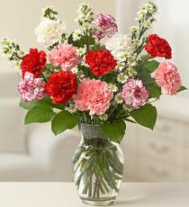 Sympathy Flowers - Fragrant Carnations Long Lasting Vased - 80CAR Photo of Fragrant Carnations Long Lasting Vased - 80CAR