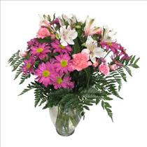 Fresh Cut Flower Bouquets - 10 Day Cut Bouquet Gift Wrapped NO Vase - BF9007 Photo of 10 Day Cut Bouquet Gift Wrapped NO Vase - BF9007