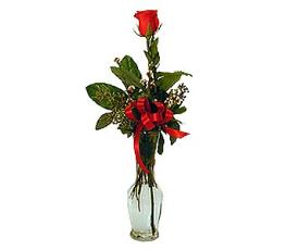 Valentines Day Flowers - One Single Rose Bud Vase - BF1152 Photo of One Single Rose Bud Vase - BF1152
