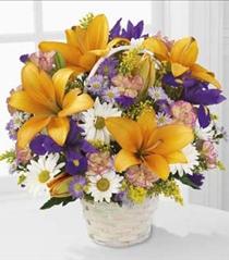 Send Spring Flowers Online - Natural Wonders Spring Flower Bouquet FTD - C12-3434 Photo of Natural Wonders Spring Flower Bouquet FTD - C12-3434