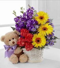 Order Birthday Flowers Online - The FTD Best Year Basket - D4-4898 Photo of The FTD Best Year Basket - D4-4898