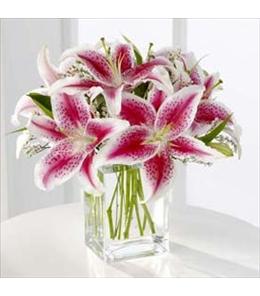 Sympathy Flower Delivery - FTD Pink Stargazer Lily Bouquet - S22-4298 Photo of FTD Pink Stargazer Lily Bouquet - S22-4298