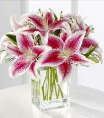 Birthday Floral Arrangements - FTD Pink Stargazer Lily Bouquet - S22-4298 Photo of FTD Pink Stargazer Lily Bouquet - S22-4298