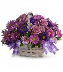 Easter Floral Arrangements - Daisy Daydreams - T11Z105 Photo of Daisy Daydreams - T11Z105