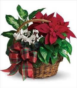 Christmas Corporate Gifts - Holiday Homecoming Planter Basket - T123-2 Photo of Holiday Homecoming Planter Basket - T123-2