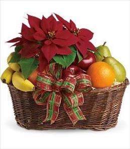Christmas Corporate Gifts - Fruit and Poinsettia Basket - T135-1 Photo of Fruit and Poinsettia Basket - T135-1