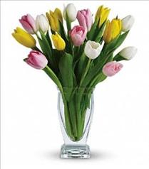 Send Tulips Online - Teleflora's Tulip Treasure - T142-1 Photo of Teleflora's Tulip Treasure - T142-1
