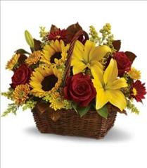 Thanksgiving Table Centerpieces - Golden Days Basket by Teleflora - T174-2 Photo of Golden Days Basket by Teleflora - T174-2