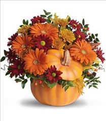 Halloween Gifts - Teleflora's Country Pumpkin - T175-1 Photo of Teleflora's Country Pumpkin - T175-1