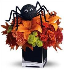 Halloween Gifts - Spooky Sweet by Teleflora - T176-2 Photo of Spooky Sweet by Teleflora - T176-2