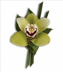 Boutonnieres - Corsages - Hair flowers - Green Orchid Boutonniere - T202-3 Photo of Green Orchid Boutonniere - T202-3