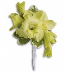 Boutonnieres - Corsages - Hair flowers - Grand Gladiolus Boutonniere - T202-5 Photo of Grand Gladiolus Boutonniere - T202-5