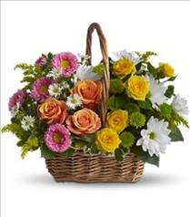 Easter Floral Arrangements - Sweet Tranquility Flower Basket - T213-2 Photo of Sweet Tranquility Flower Basket - T213-2