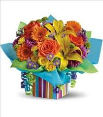 Birthday Floral Arrangements - Teleflora's Rainbow Present - T23-1 Photo of Teleflora's Rainbow Present - T23-1