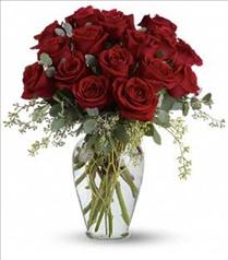 Roses Fresh Roses - Full Heart Roses - T255-3 Photo of Full Heart Roses - T255-3