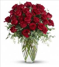Roses Fresh Roses - Forever Beloved Roses - T255-4 Photo of Forever Beloved Roses - T255-4
