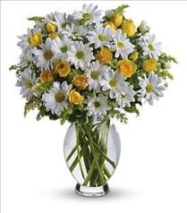 Flower Arrangements for Easter - Teleflora's Amazing Daisy in Vase - T32-1 Photo of Teleflora's Amazing Daisy in Vase - T32-1