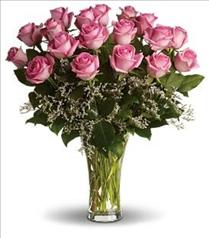 Yellow Roses - Make Me Blush Pink Roses - T4-1 Photo of Make Me Blush Pink Roses - T4-1