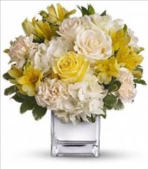 Sympathy Flowers - Faith Hill - Sweetest Sunrise Bouquet - T403-3 Photo of Faith Hill - Sweetest Sunrise Bouquet - T403-3