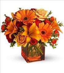 Thanksgiving Table Centerpieces - Sunrise Sunset by Teleflora - T47-1 Photo of Sunrise Sunset by Teleflora - T47-1