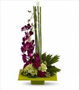 Funeral Floral Arrangements - Zen Artistry with Orchids - T81-1 Photo of Zen Artistry with Orchids - T81-1