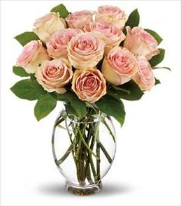 Valentines Day Flowers - Teleflora's Delicate Roses 12, 18 or 24 - T9-2 Photo of Teleflora's Delicate Roses 12, 18 or 24 - T9-2