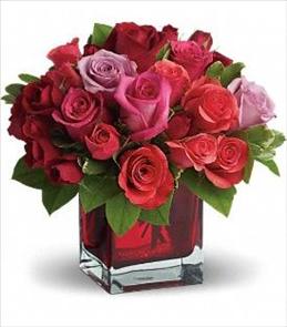 Valentines Day Flowers - Madly in Love Roses Teleflora - T9-3 Photo of Madly in Love Roses Teleflora - T9-3